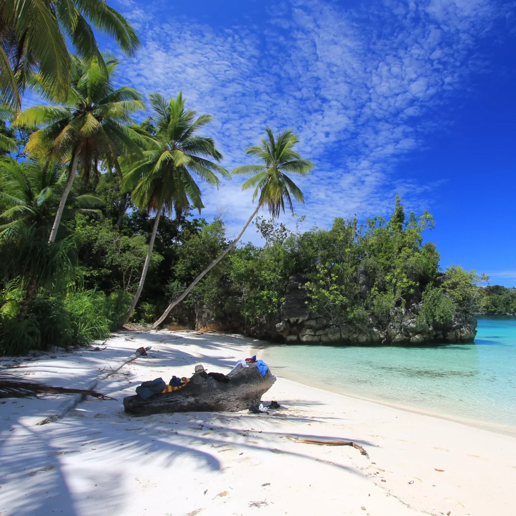 Our slow travel adventure cruises visit Raja Ampat and Komodo