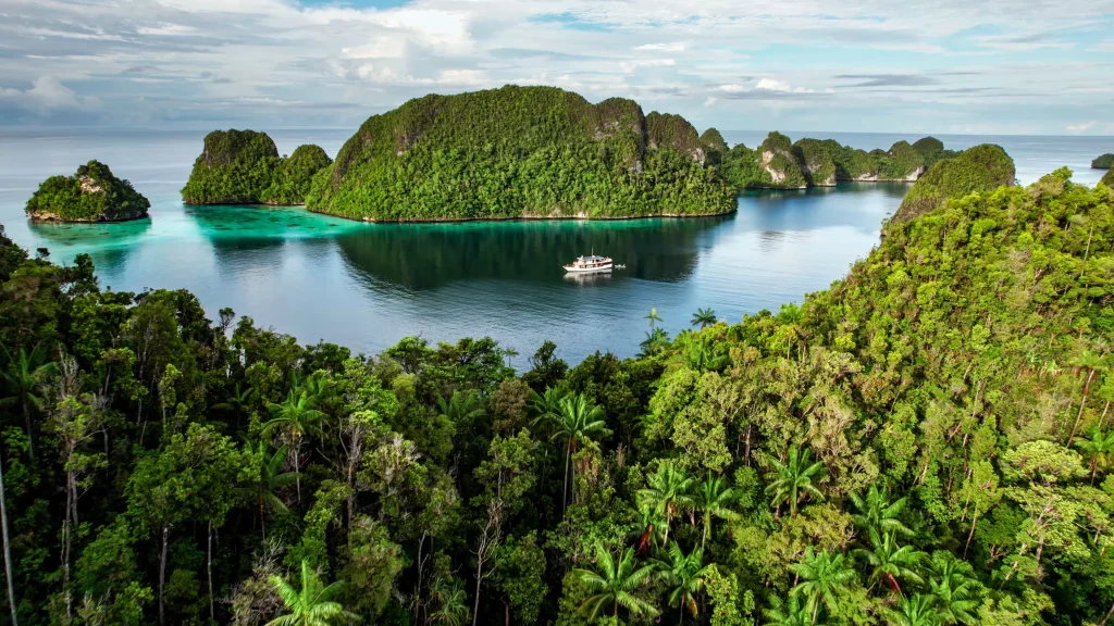 Our eco friendly snorkeling cruises explore the best of Raja Ampat