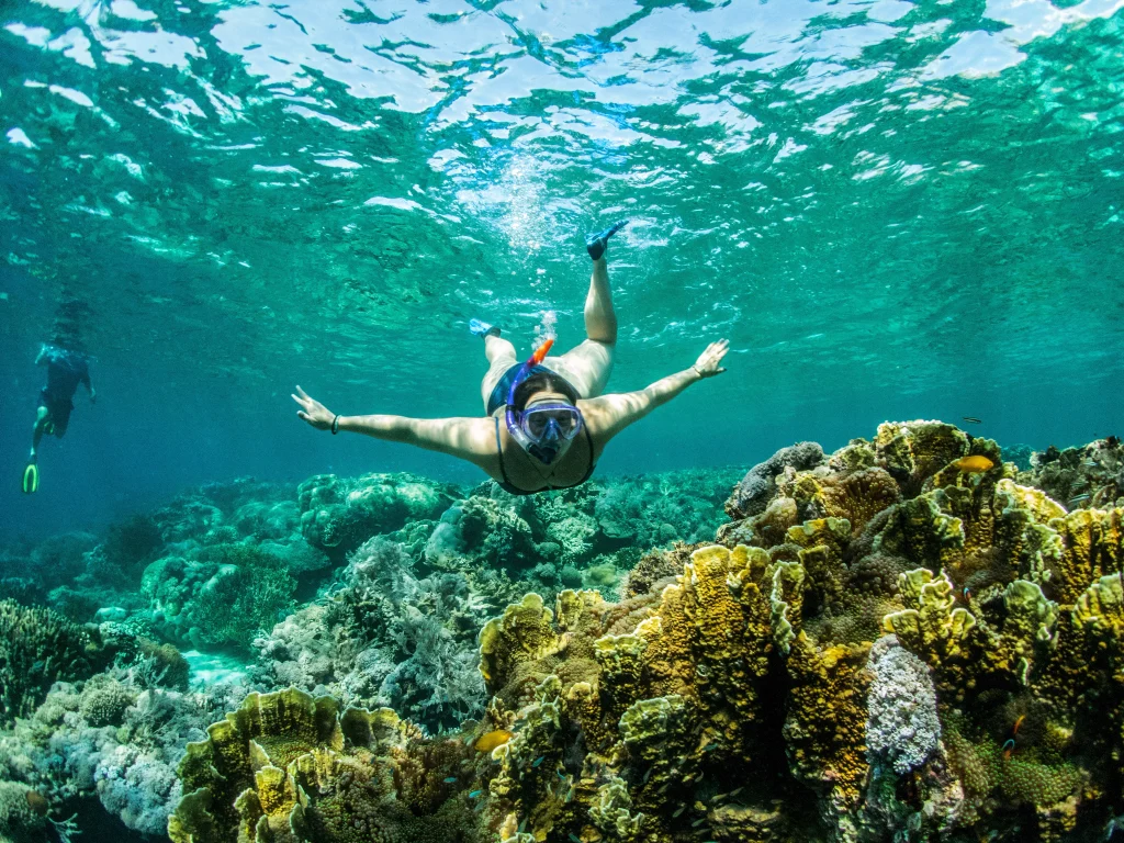 Cruise the coral triangle in Indonesia with Nomad Archipelago