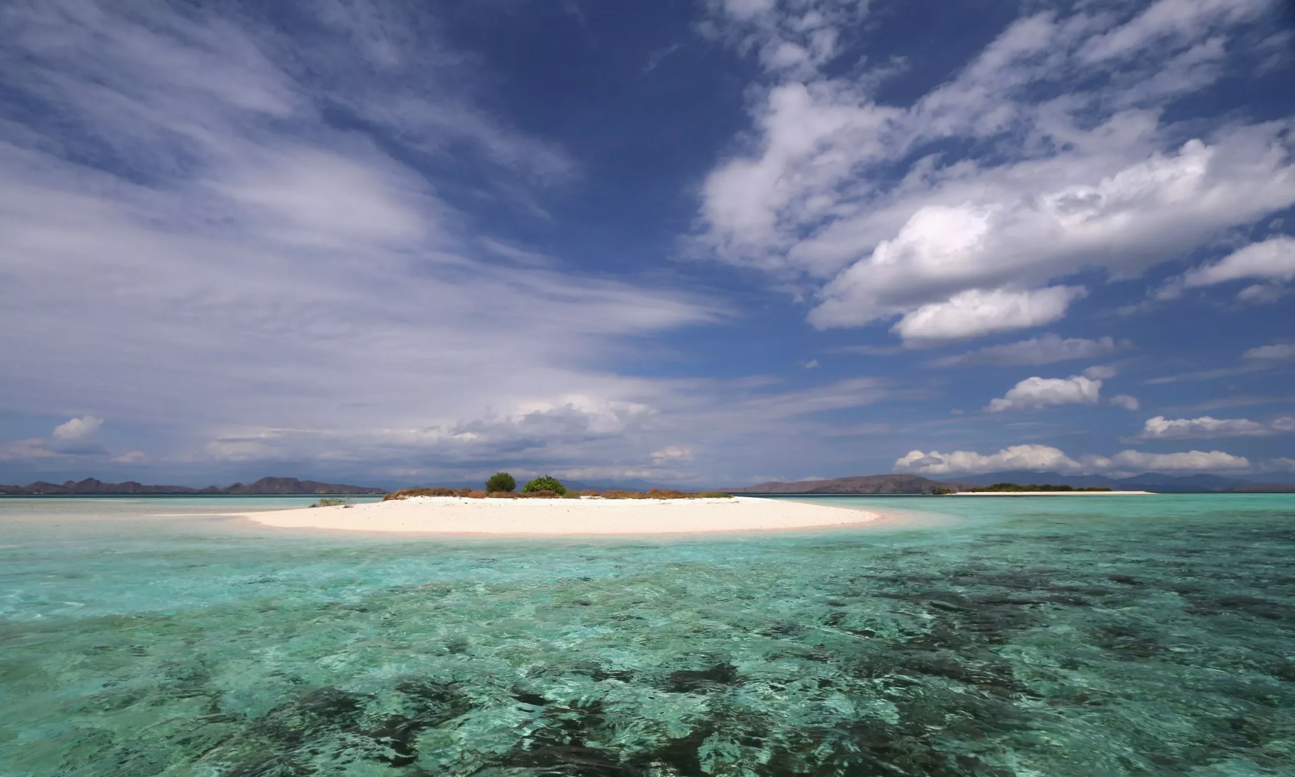 Travel guide for Komodo liveaboard cruises