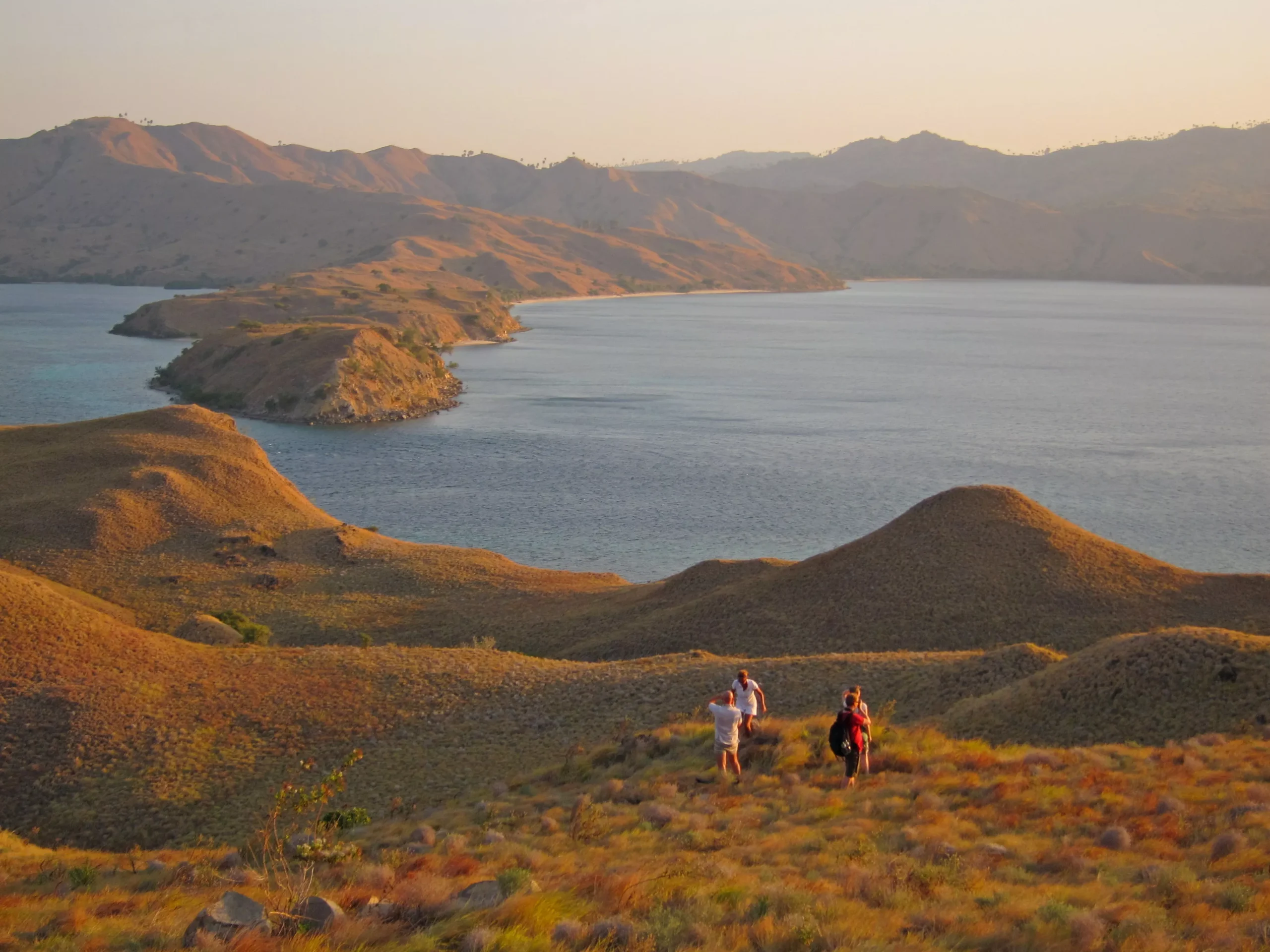 Travel guide for Komodo liveaboard cruises
