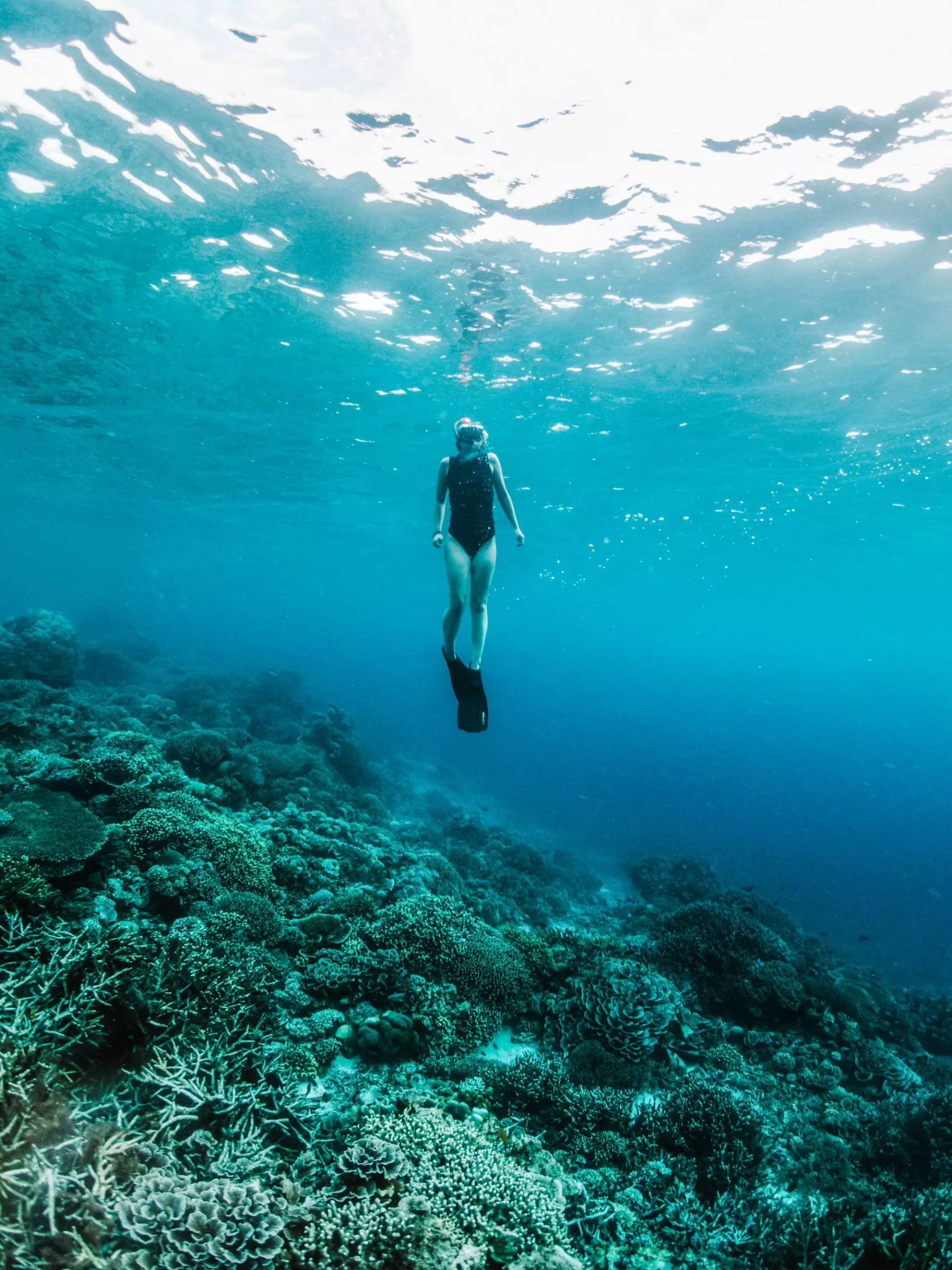 Slow travel Snorkel cruises get you off the beaten track