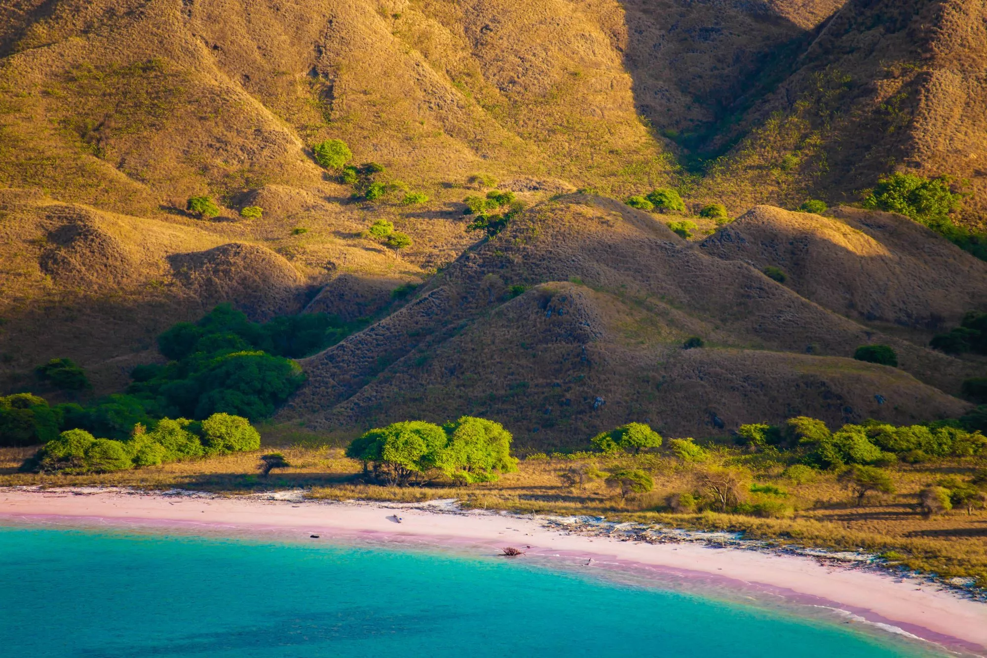 Travel guide for Komodo liveaboard cruises