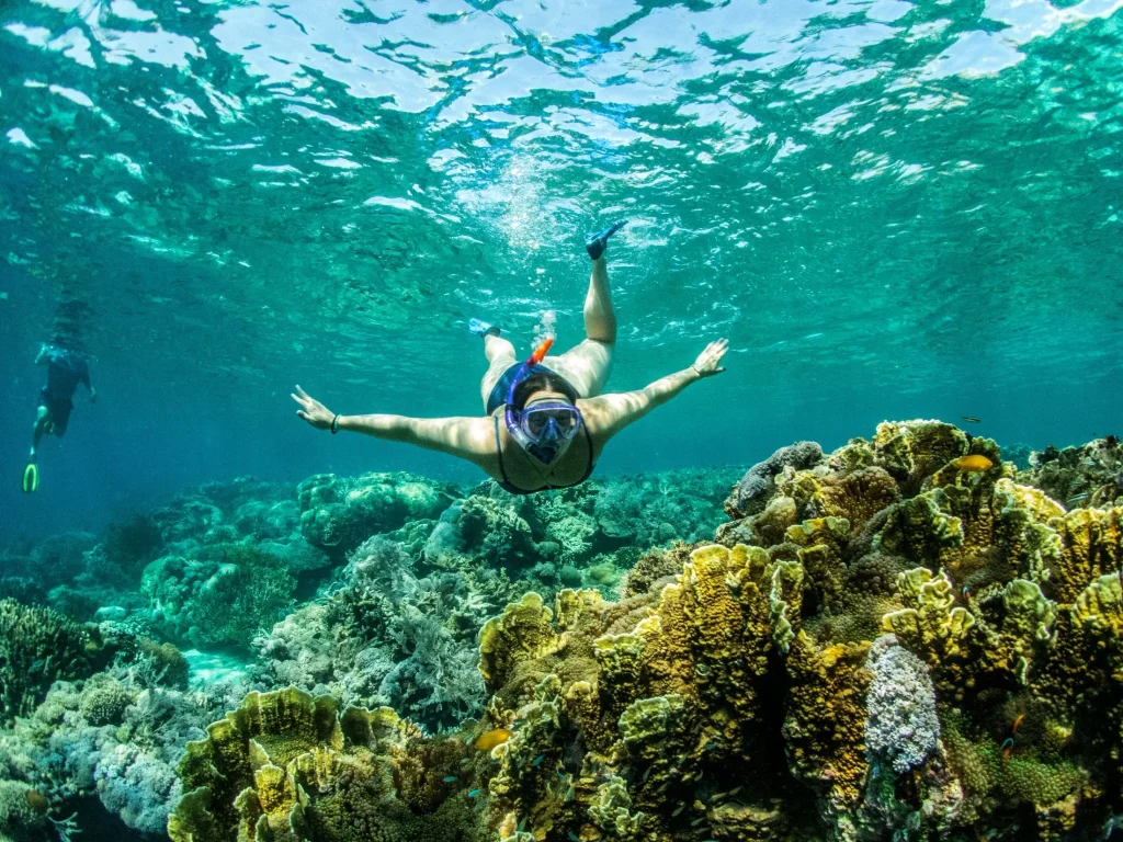 Snorkel cruises are for everyone