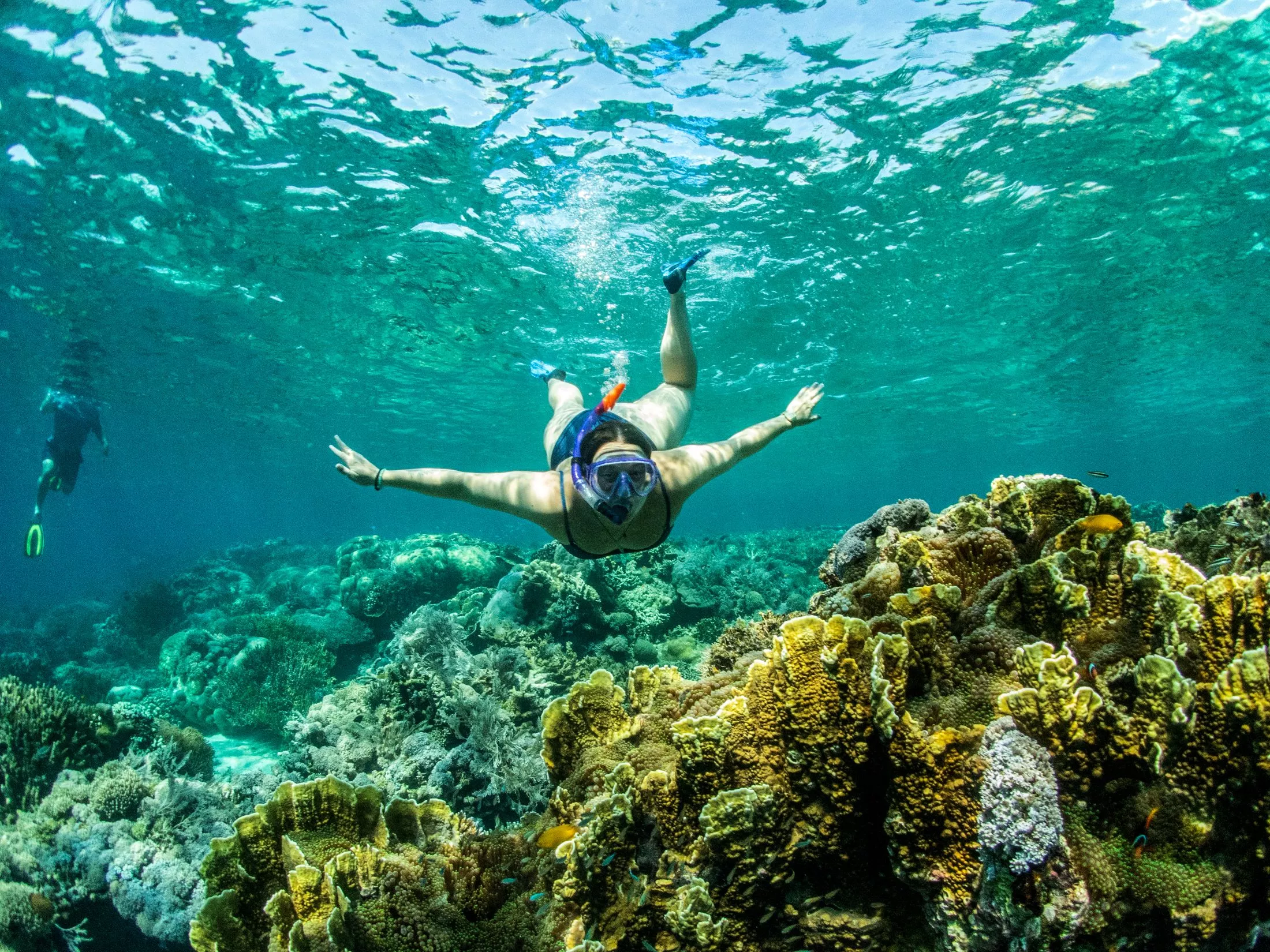 Snorkel cruises are for everyone