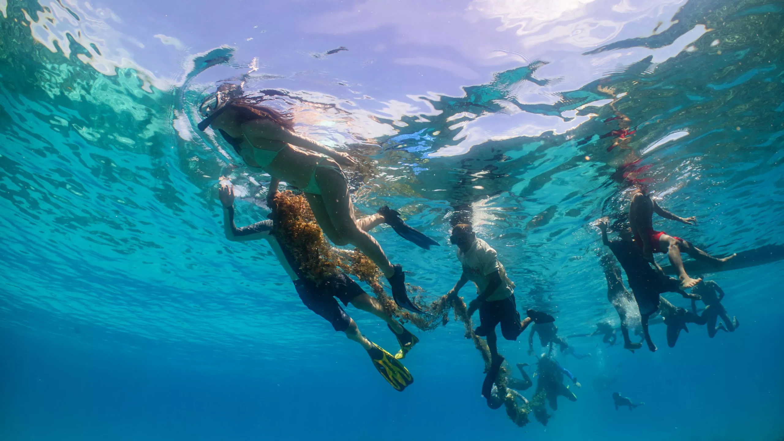Explore the vibrant coral reefs, islands and beaches of the Banggai Archipelago while gaining rare insight into the conservation work of Blue Alliance