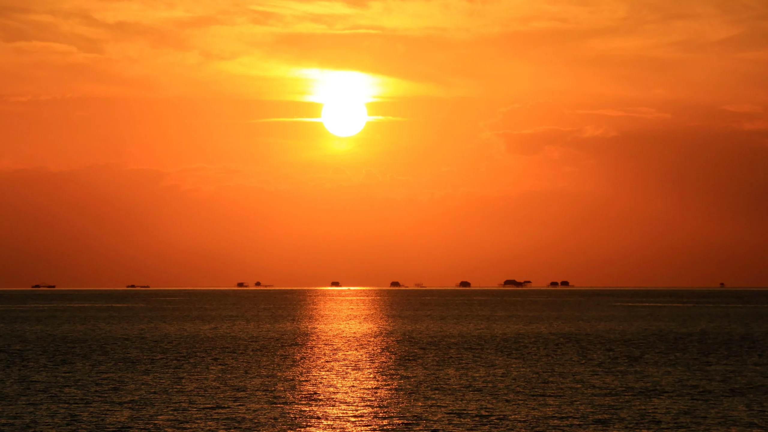 Discover the Banggai on a liveaboard cruise
