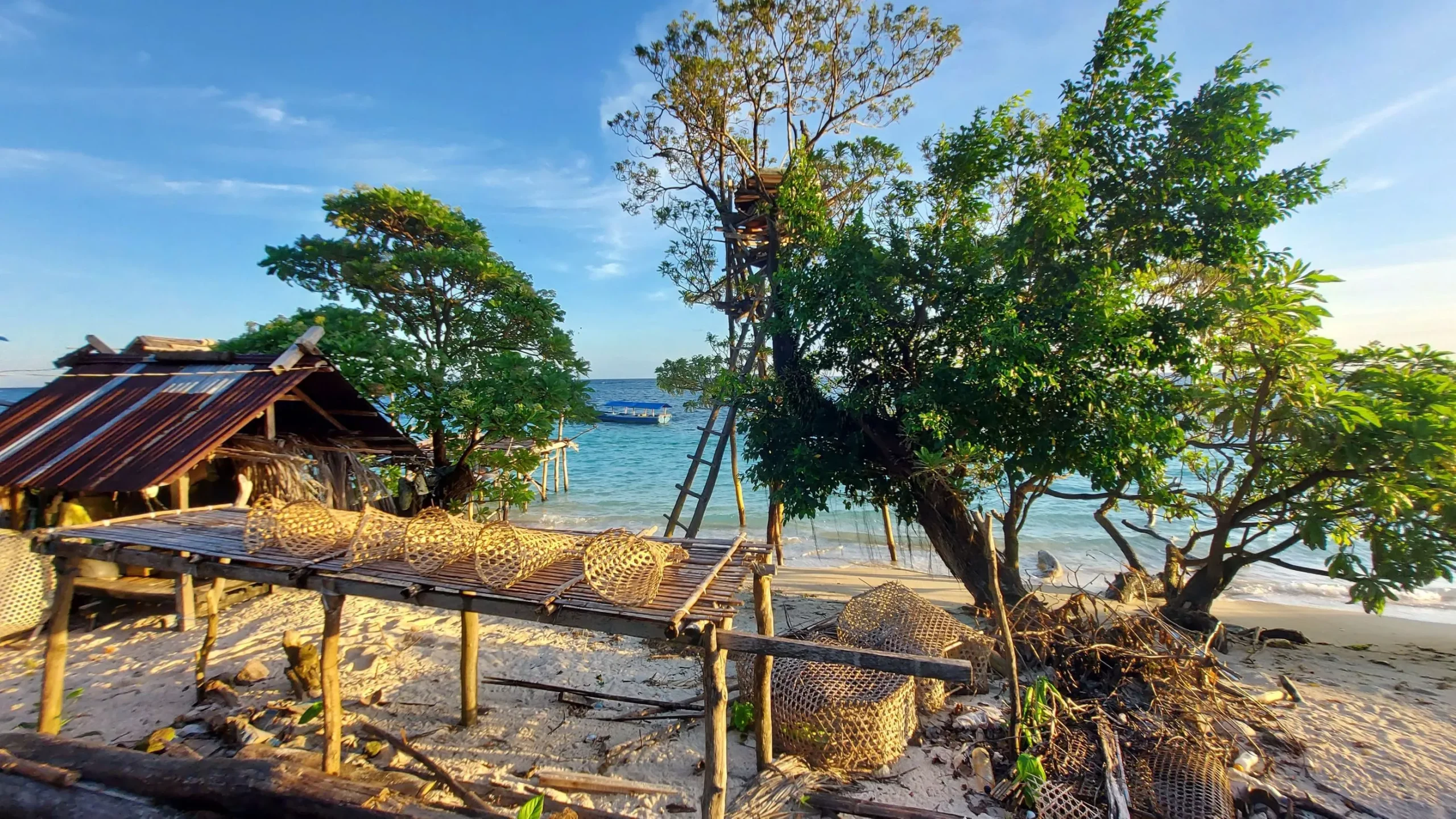 8-night Citizen Science Cruise: Exploring the Banggai Archipelago