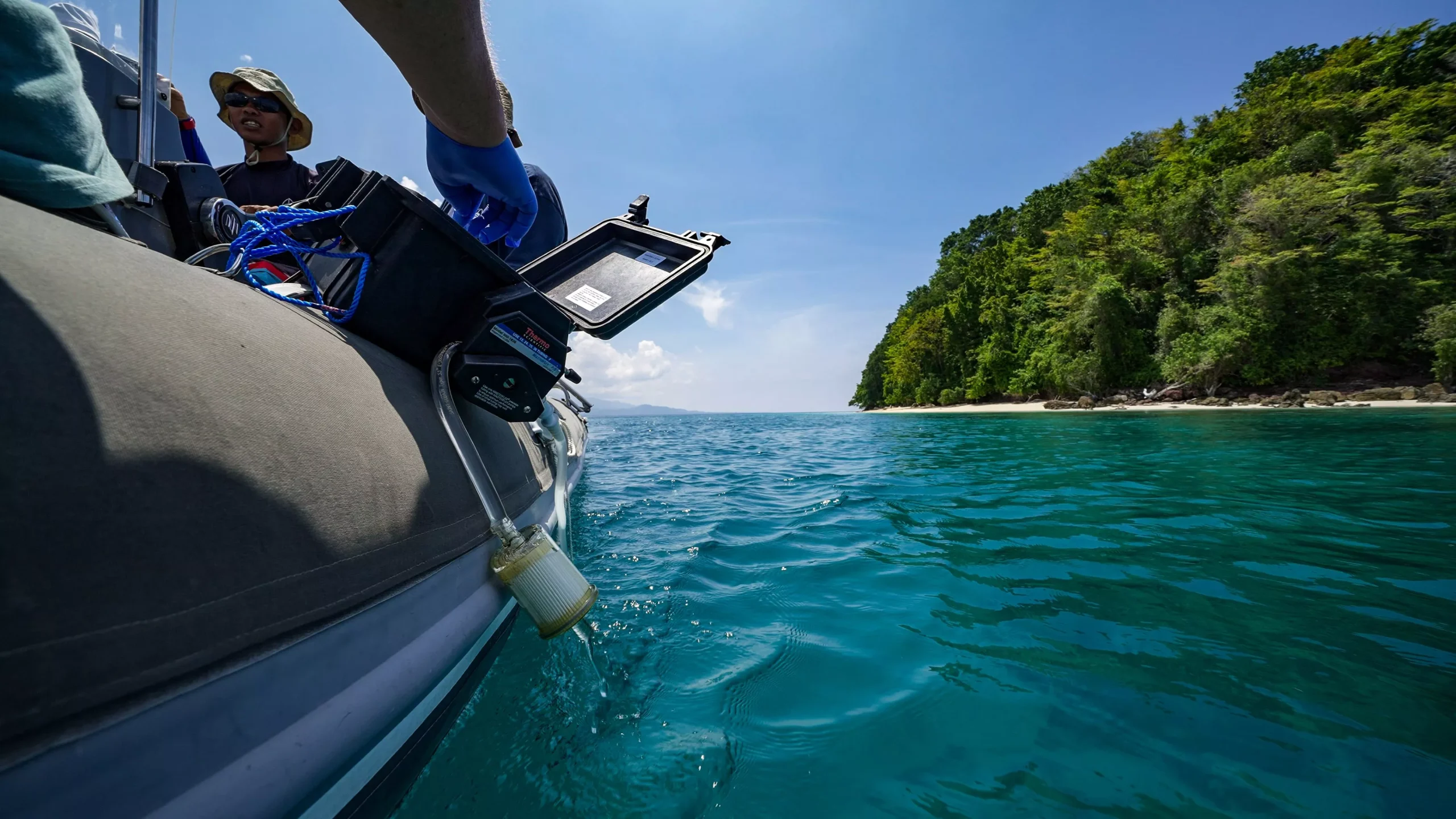 Banggai Cruise, take part in guided reef explorations, fish surveys, and map coral