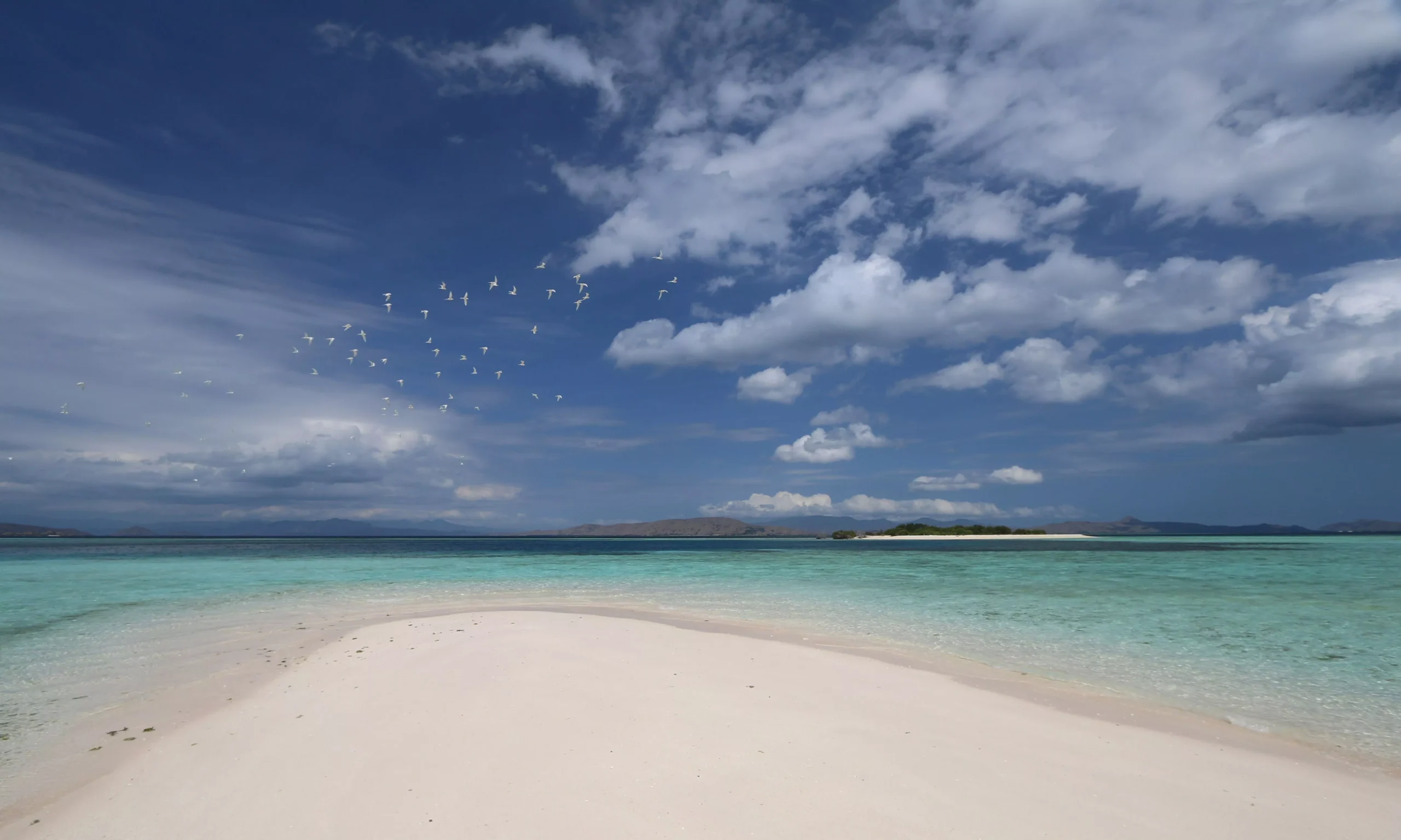Private charter Komodo Cruises