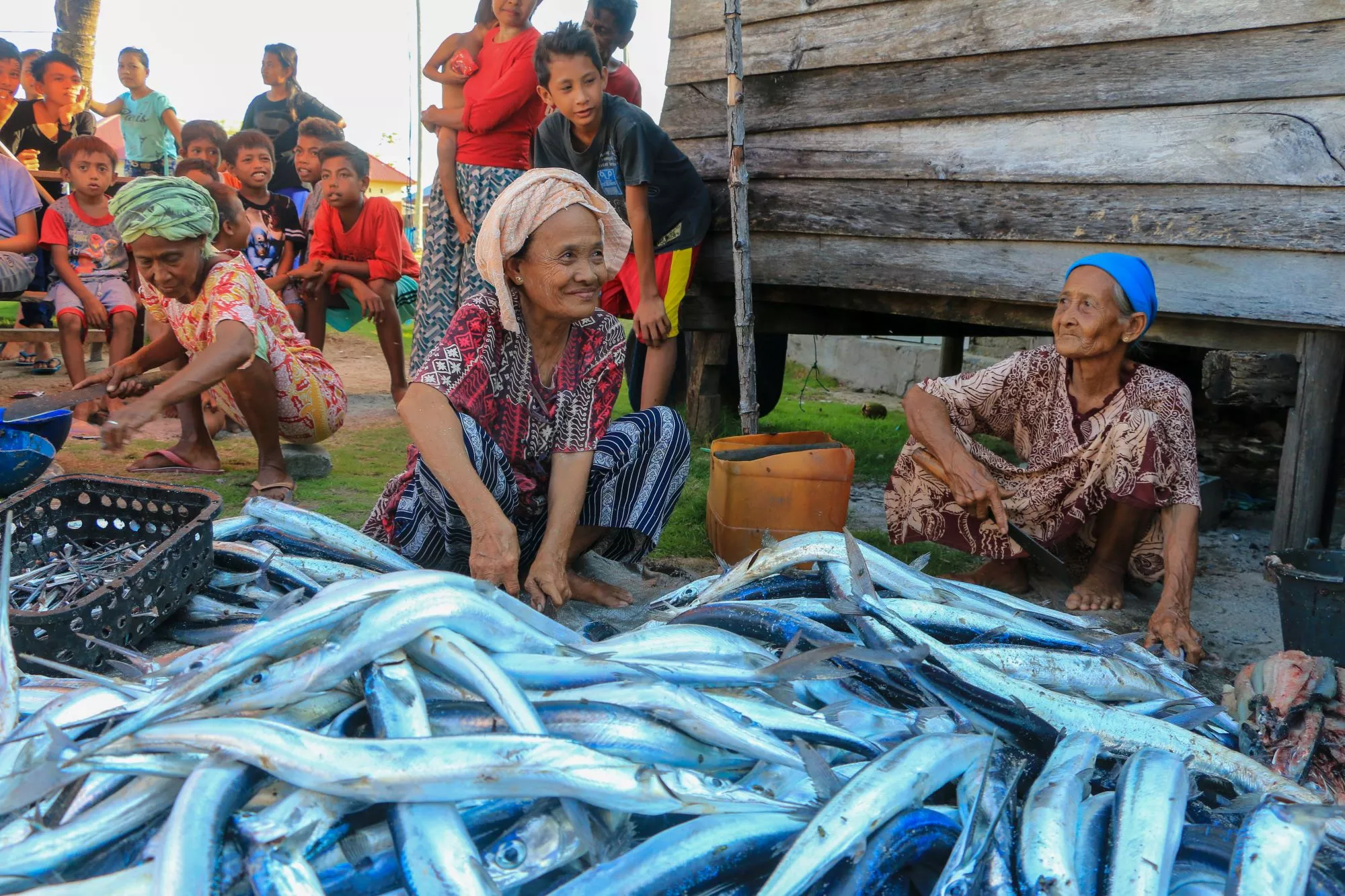 Blue Alliance Indonesia leads marine conservation efforts in the Banggai Archipelago