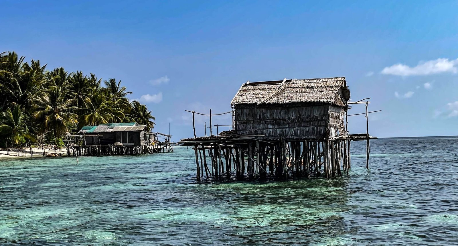 Hosted Banggai Conservation Cruise