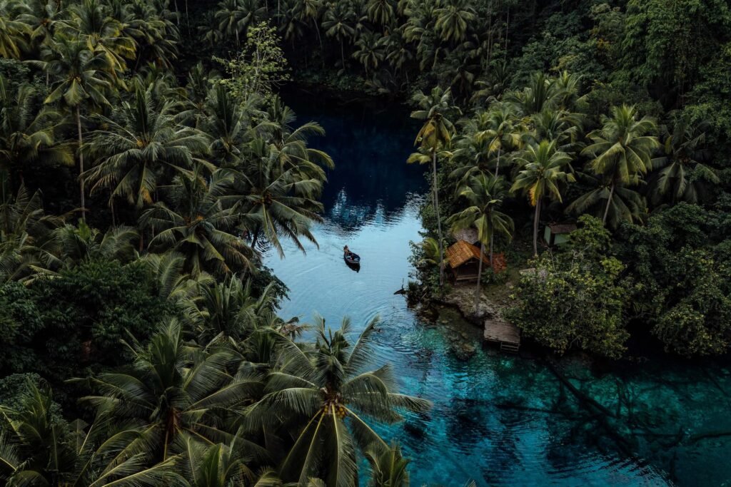 Aerial photo of a small boat on the deep blue water of Paisu Pok Lake, framed by tall palm trees.